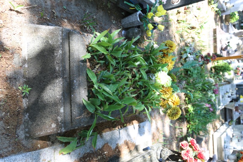 Adam Kowalik 1935 Stegna - Grobonet - Wyszukiwarka osób pochowanych